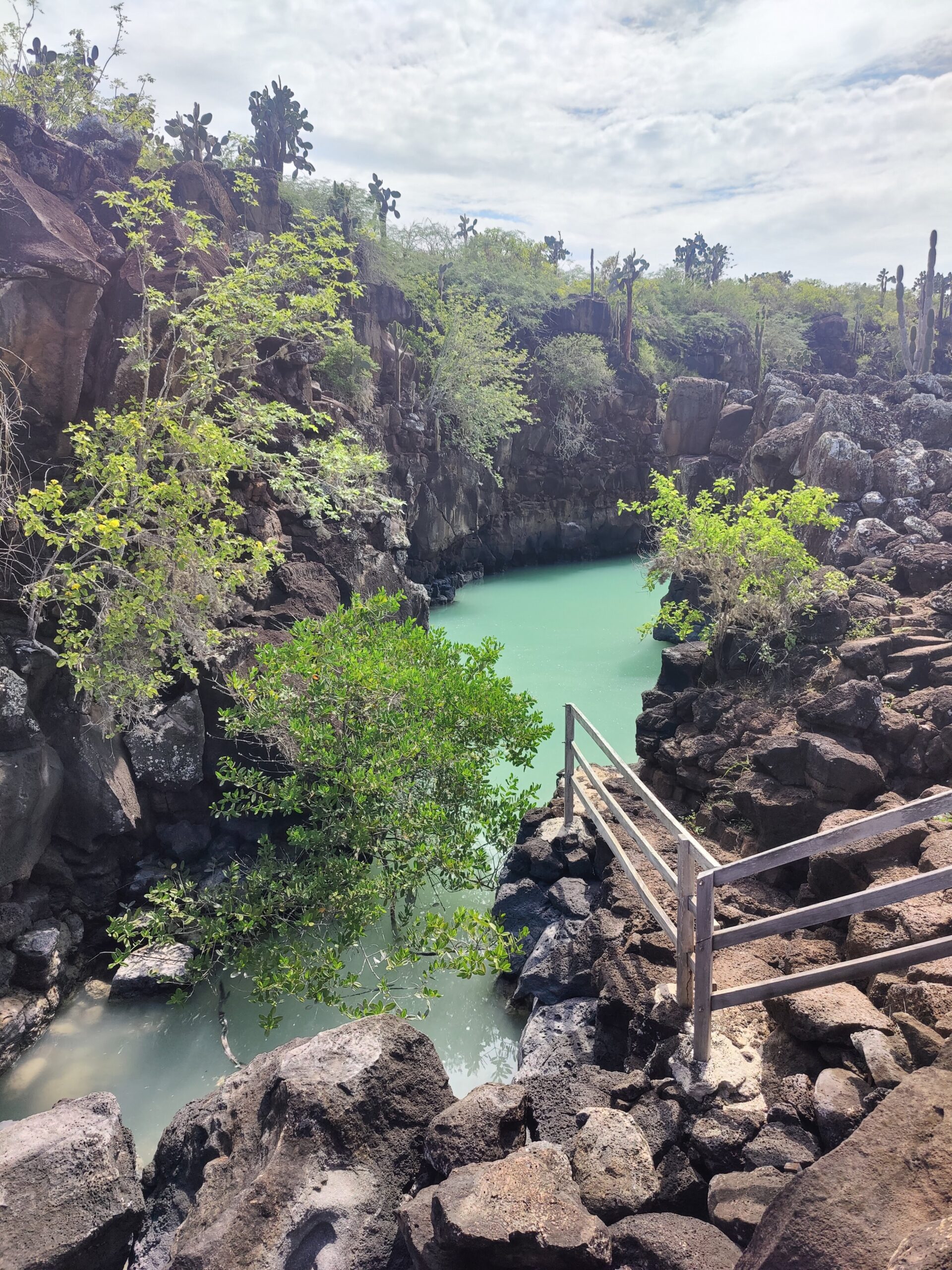 How to Avoid Sunburn, Tips from a Redhead