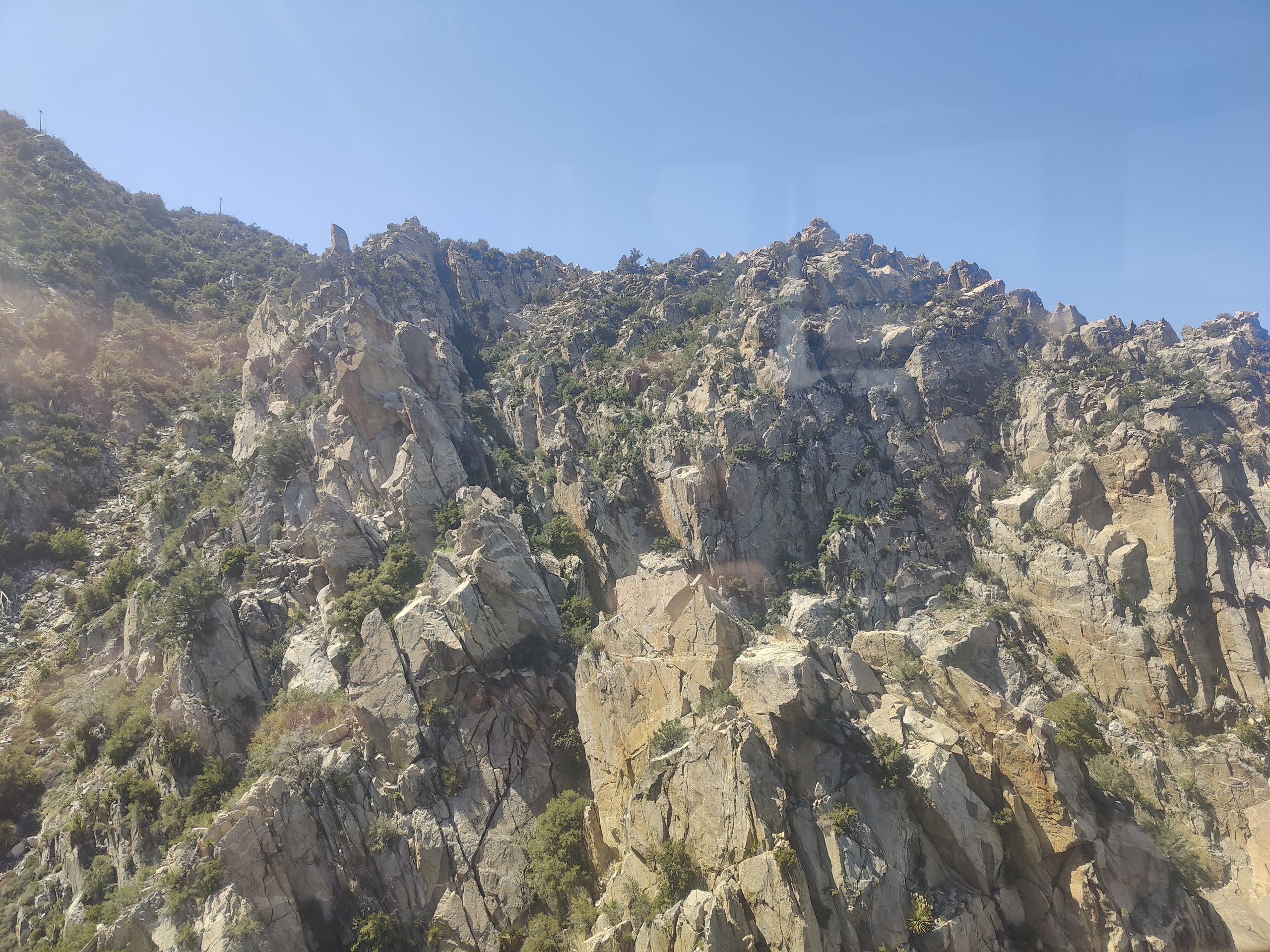 Activity Review: The Best Night Hike at Joshua Tree