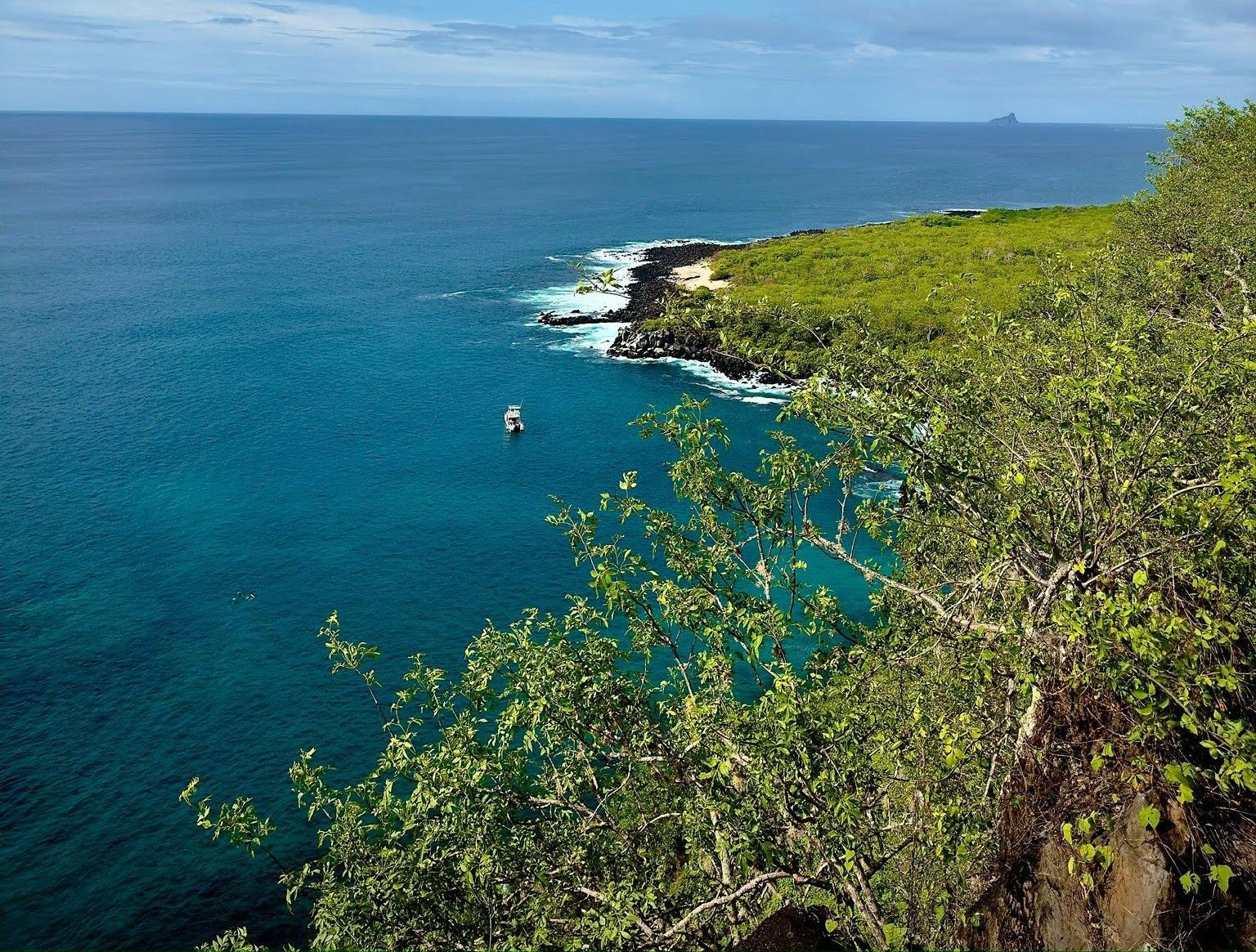 Activity Review: Snorkeling across the World